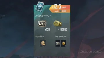 بـ 41.99 جنيه فقط.. أسهل طريقة لشحن شدات ببجي موبايل 2025 والحصول على عروض حصرية 1